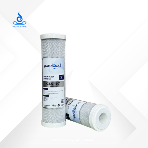 Pure Touch CTO/Net Carbon Filter 10" Vietnam