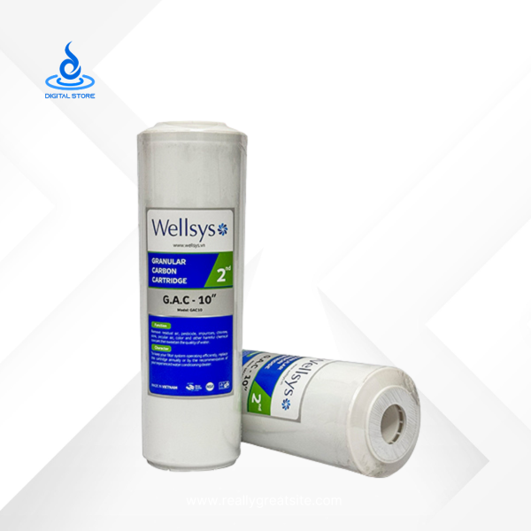 Wellsys GAC/Box Carbon Filter 10" Vietnam