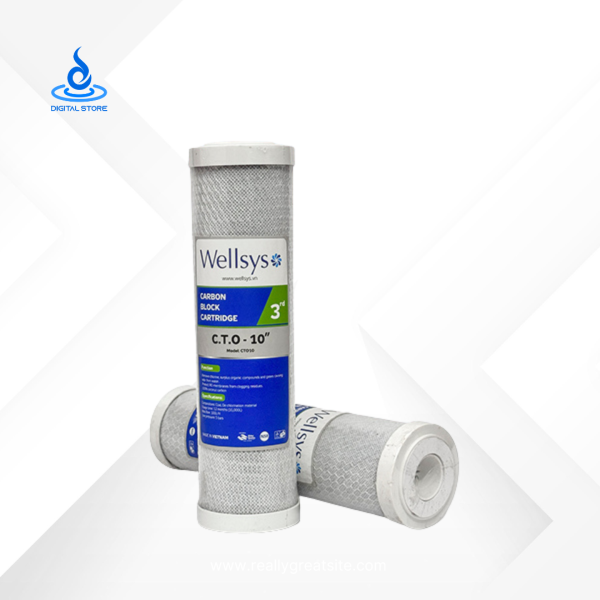 Wellsys CTO/Net Carbon Filter 10" Vietnam